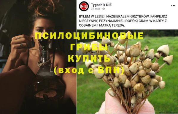 MDMA Вязники