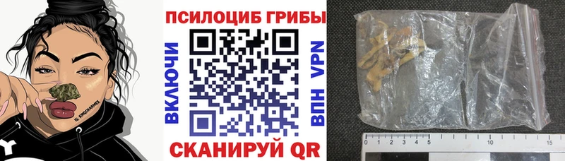 Купить закладки  Цимлянск  Псилоцибиновые грибы мухоморы 